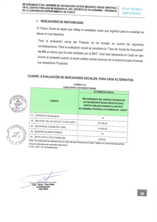 4 RESUMEN EJECUTIVO.pdf