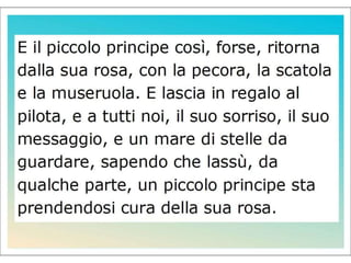 Piccolo Principe IV Riolo