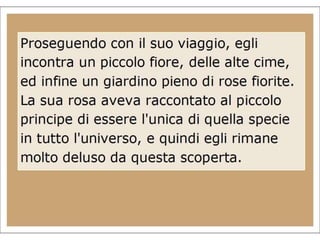 Piccolo Principe IV Riolo