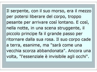 Piccolo Principe IV Riolo