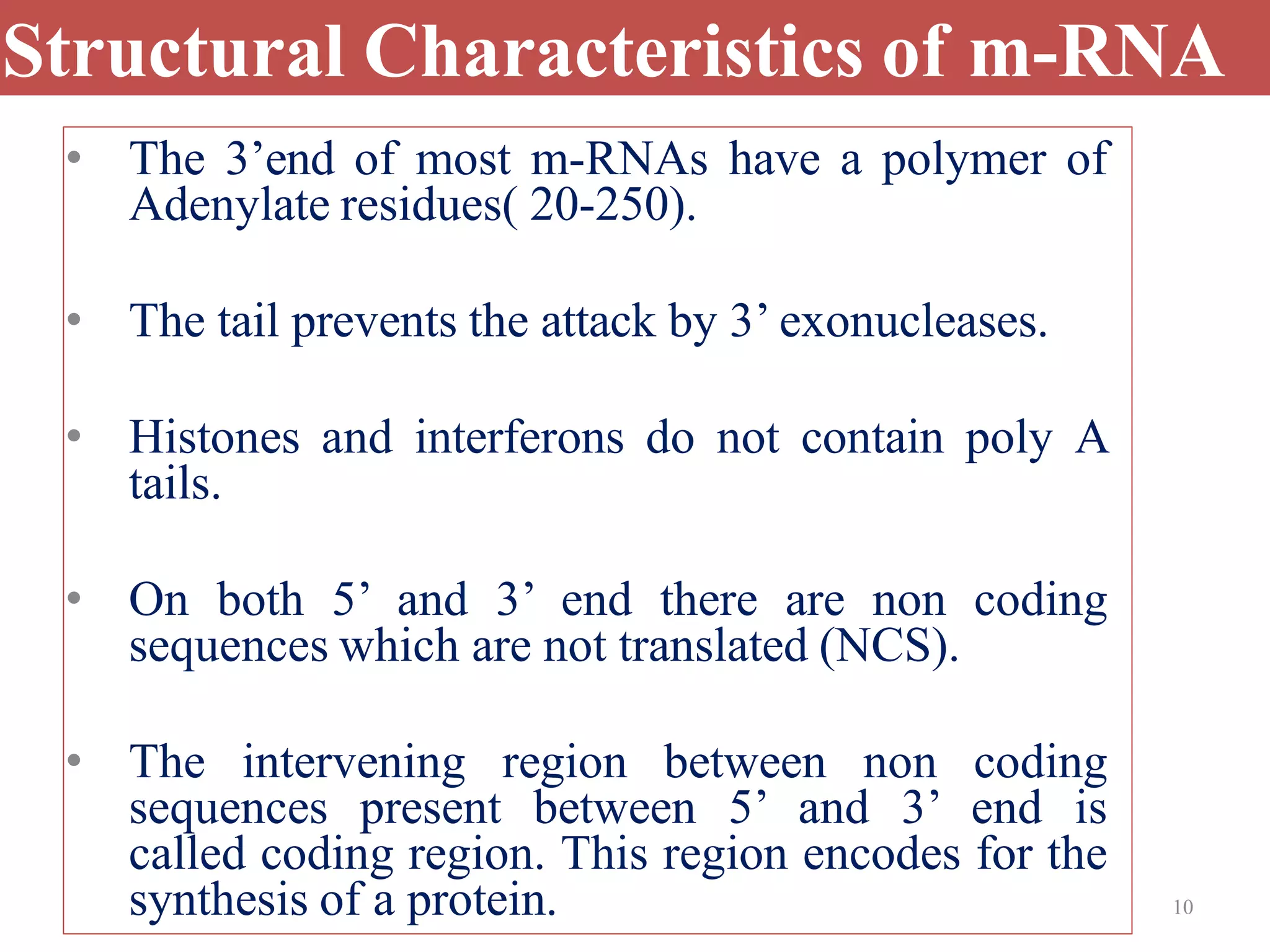 10
Structural Characteristics of m-RNA
• The 3’end of most m-RNAs have a polymer of
Adenylate residues( 20-250).
• The tail prevents the attack by 3’ exonucleases.
• Histones and interferons do not contain poly A
tails.
• On both 5’ and 3’ end there are non coding
sequences which are not translated (NCS).
• The intervening region between non coding
sequences present between 5’ and 3’ end is
called coding region. This region encodes for the
synthesis of a protein.
 