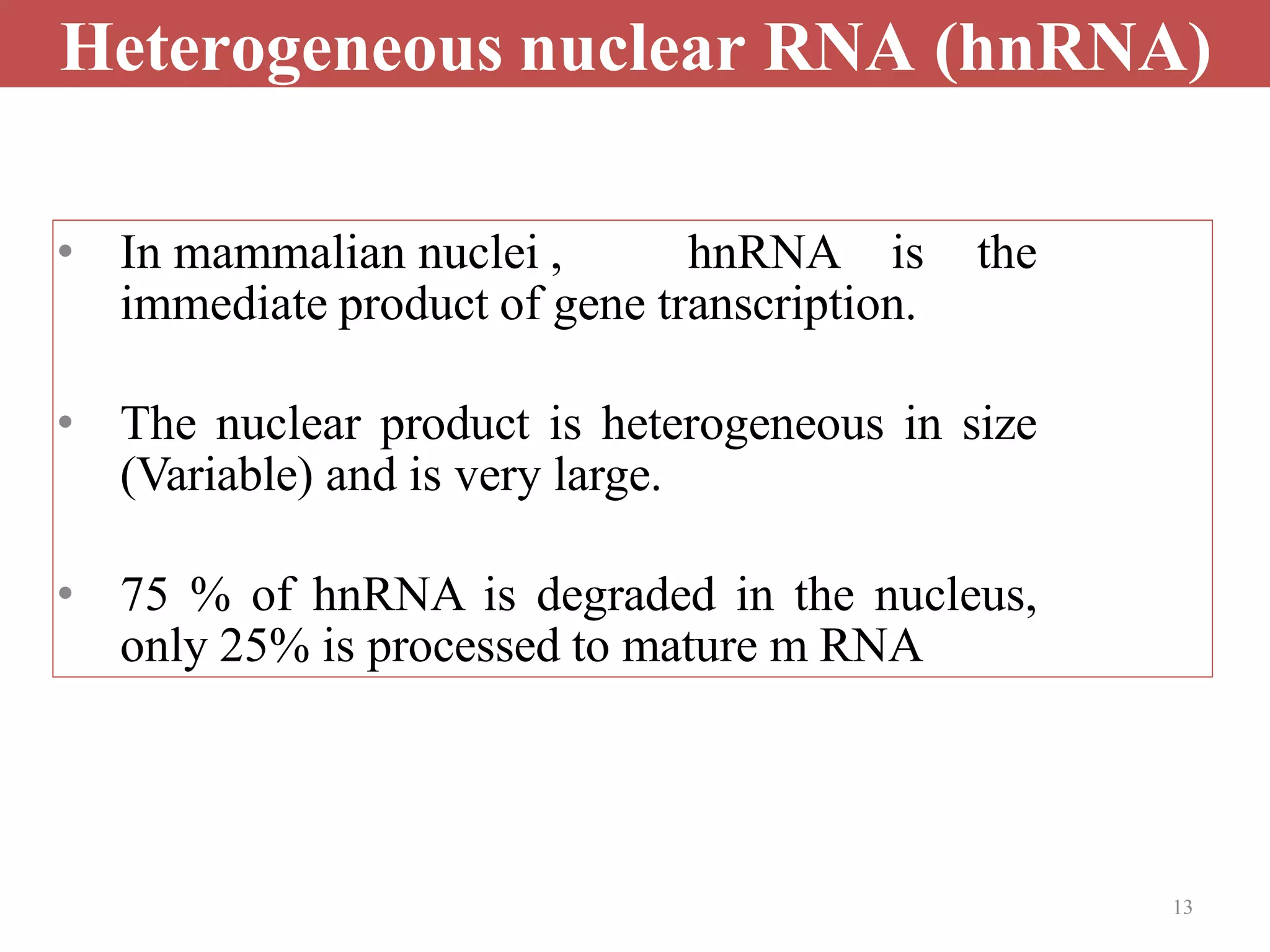 13
Heterogeneous nuclear RNA (hnRNA)
• In mammalian nuclei , hnRNA is the
immediate product of gene transcription.
• The nuclear product is heterogeneous in size
(Variable) and is very large.
• 75 % of hnRNA is degraded in the nucleus,
only 25% is processed to mature m RNA
 