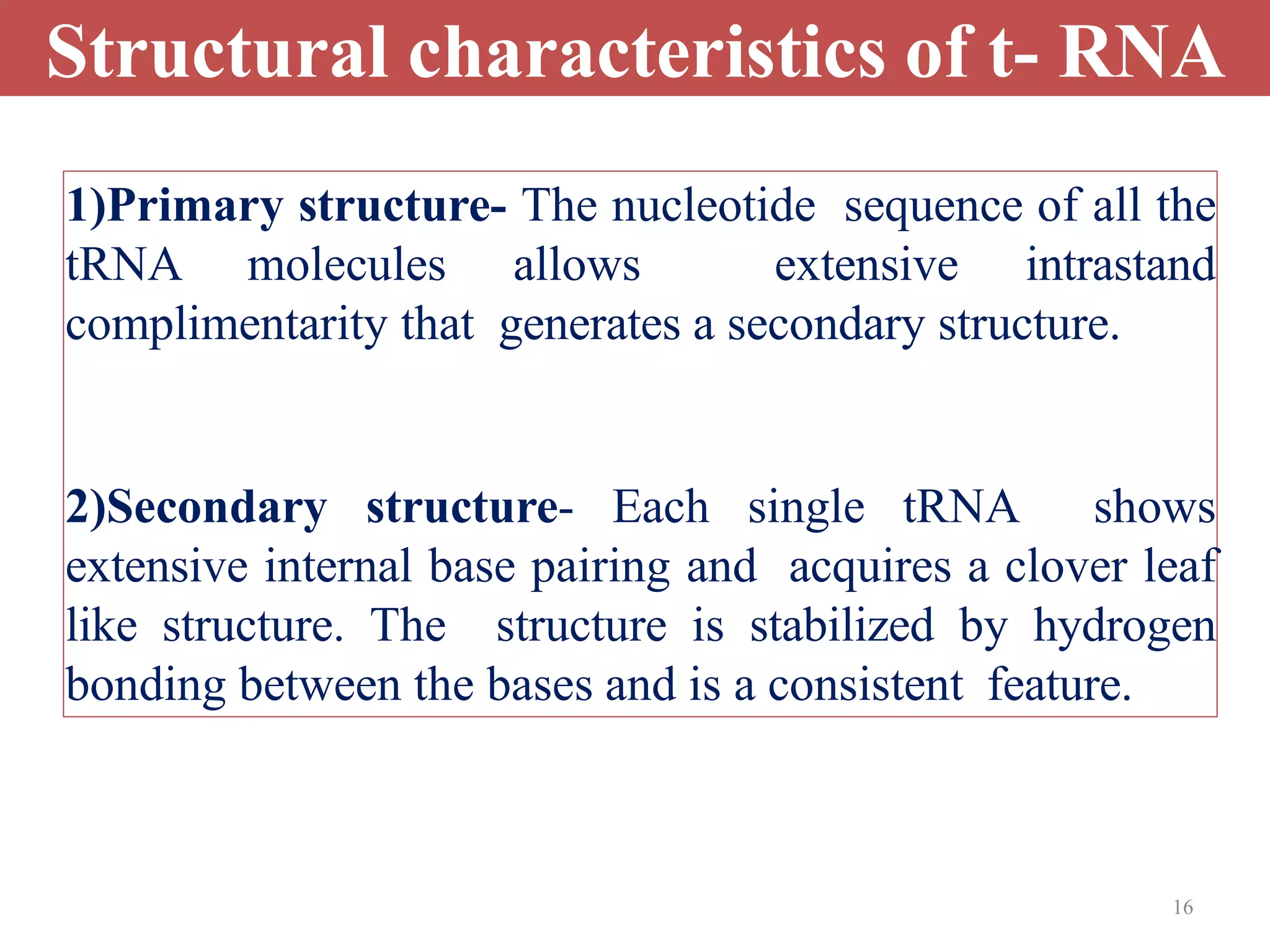 16
Structural characteristics of t- RNA
1)Primary structure- The nucleotide sequence of all the
tRNA molecules allows extensive intrastand
complimentarity that generates a secondary structure.
2)Secondary structure- Each single tRNA shows
extensive internal base pairing and acquires a clover leaf
like structure. The structure is stabilized by hydrogen
bonding between the bases and is a consistent feature.
 