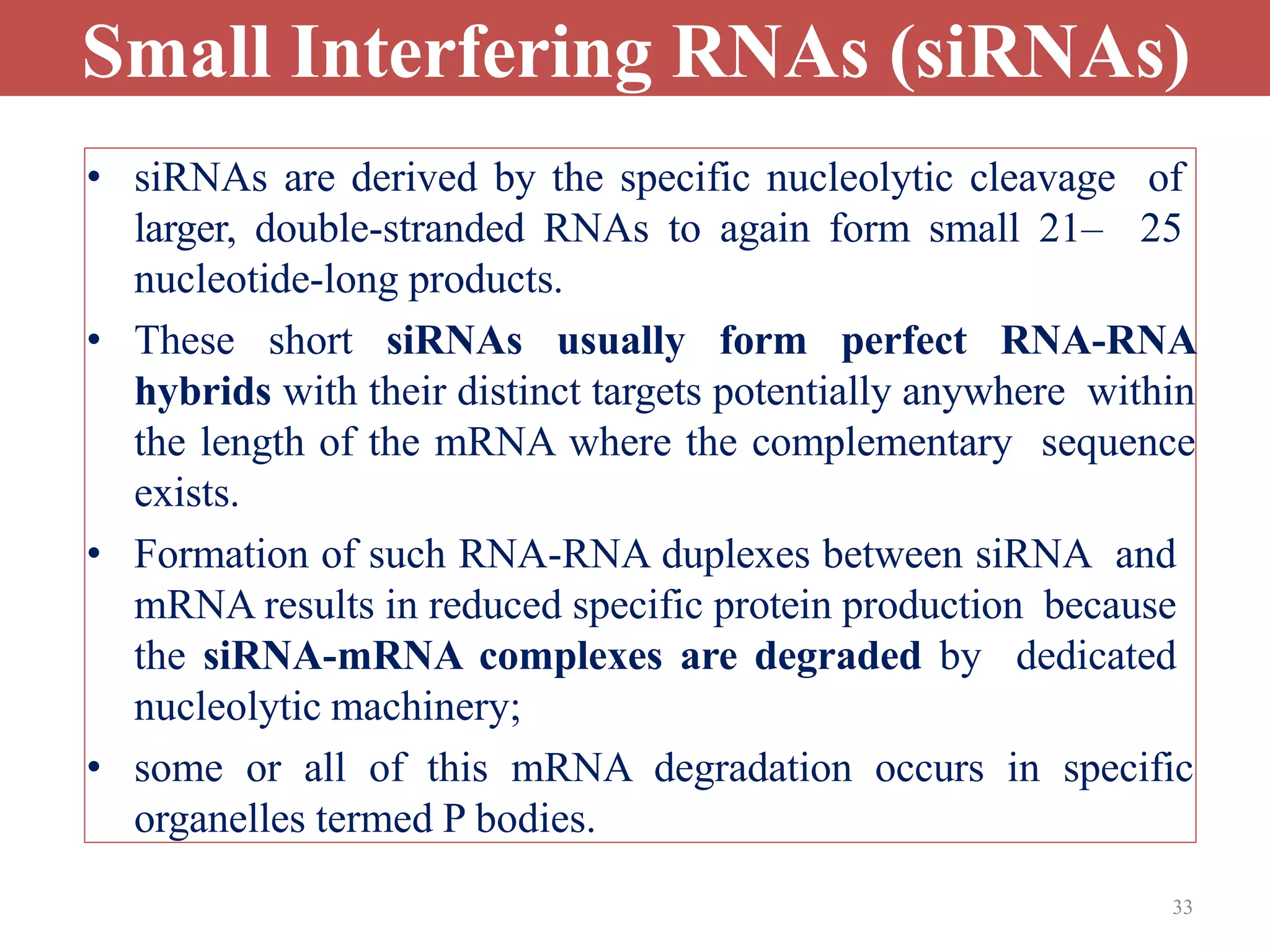 33
Small Interfering RNAs (siRNAs)
• siRNAs are derived by the specific nucleolytic cleavage of
larger, double-stranded RNAs to again form small 21– 25
nucleotide-long products.
• These short siRNAs usually form perfect RNA-RNA
hybrids with their distinct targets potentially anywhere within
the length of the mRNA where the complementary sequence
exists.
• Formation of such RNA-RNA duplexes between siRNA and
mRNA results in reduced specific protein production because
the siRNA-mRNA complexes are degraded by dedicated
nucleolytic machinery;
• some or all of this mRNA degradation occurs in specific
organelles termed P bodies.
 