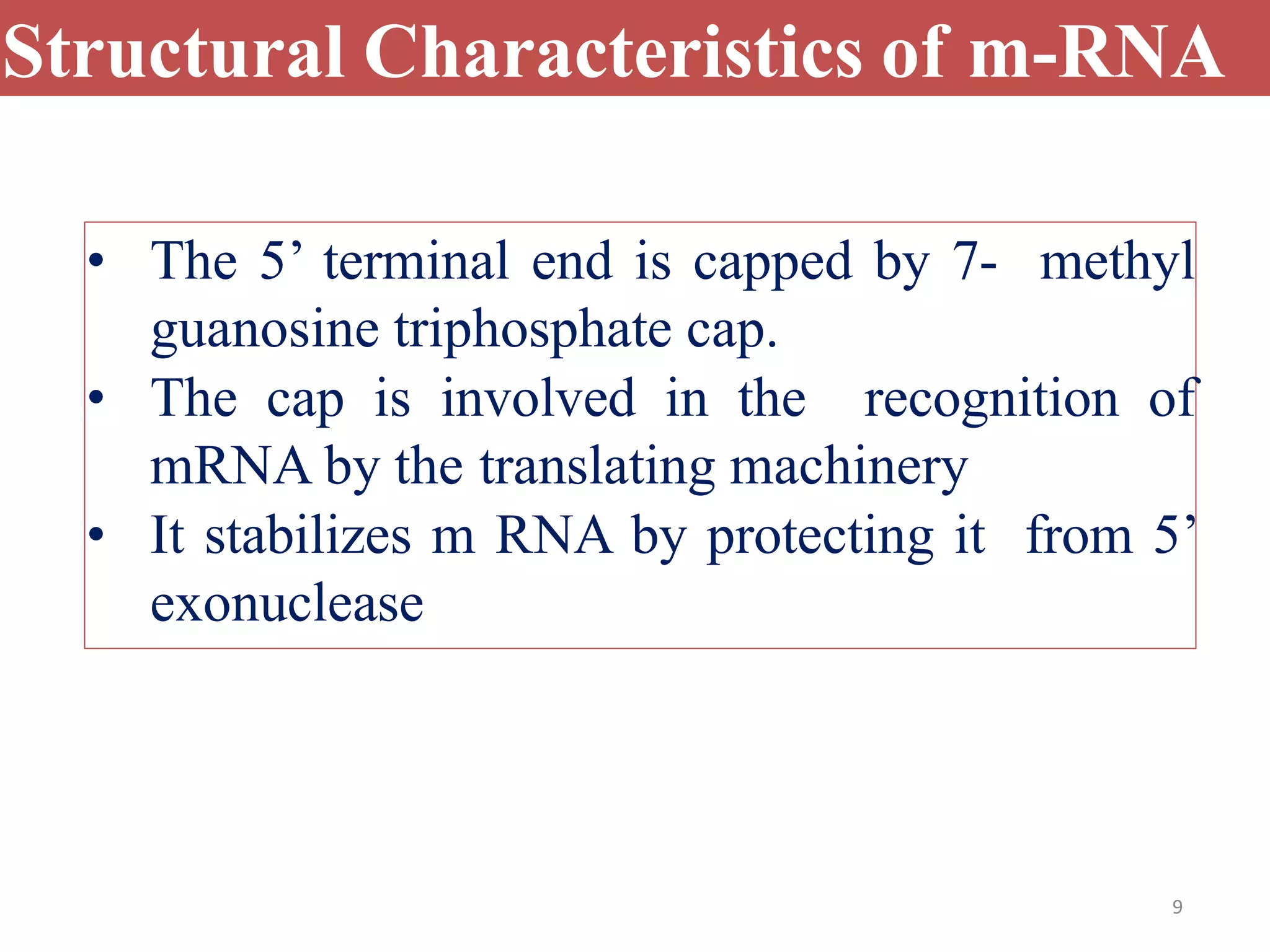 9
Structural Characteristics of m-RNA
• The 5’ terminal end is capped by 7- methyl
guanosine triphosphate cap.
• The cap is involved in the recognition of
mRNA by the translating machinery
• It stabilizes m RNA by protecting it from 5’
exonuclease
 