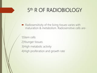 4 R OF RADIOBIOLOGY.pptx