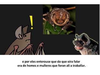 e por eles enterouse que do que oíra falar
era de homes e mulleres que foran alí a traballar.
 