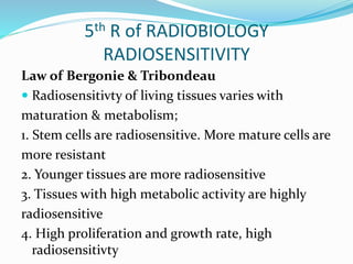 4 rs of radiobiology | PPTX