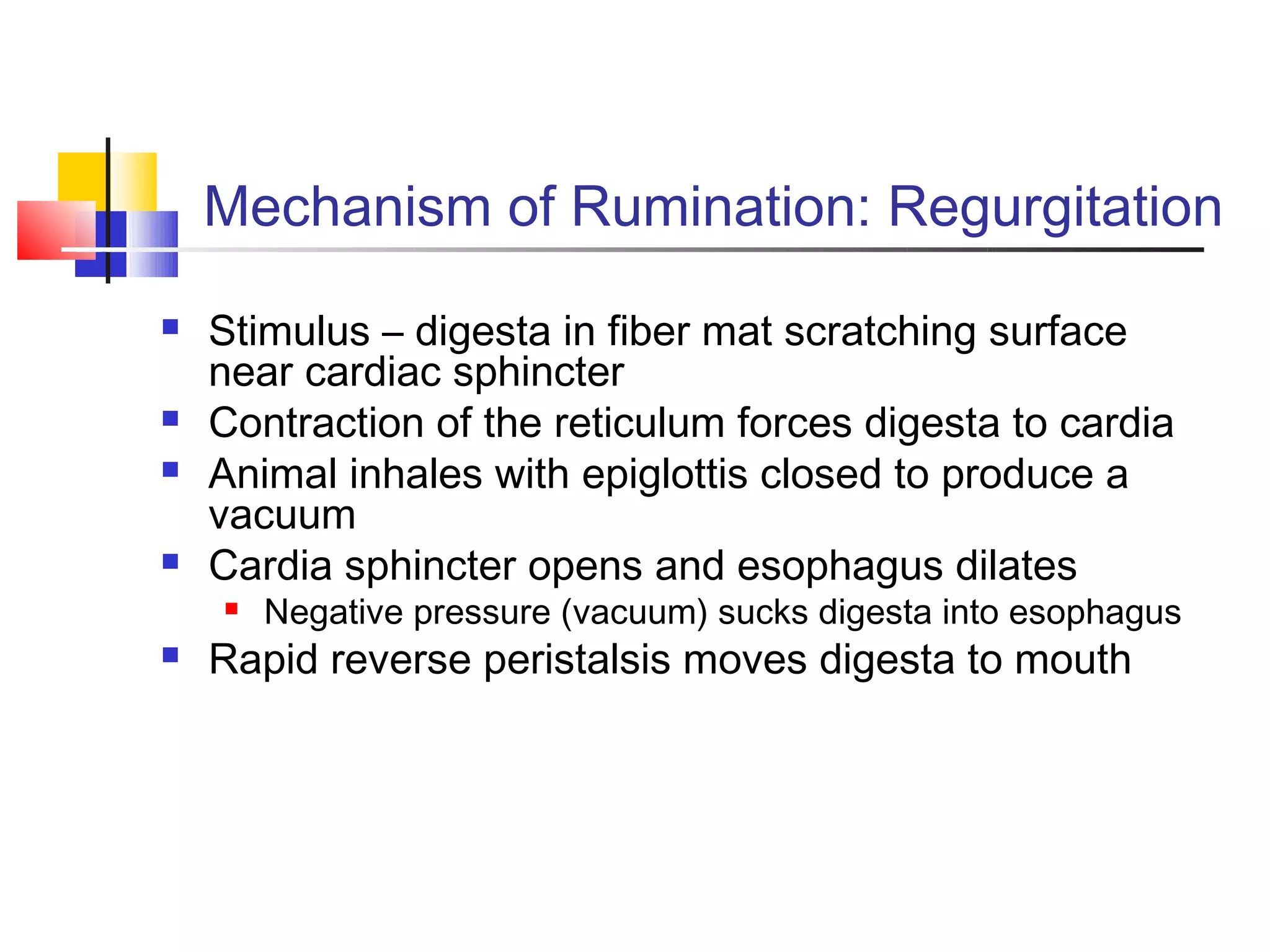 4 rumen fermentation