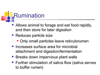 4 rumen fermentation | PPT