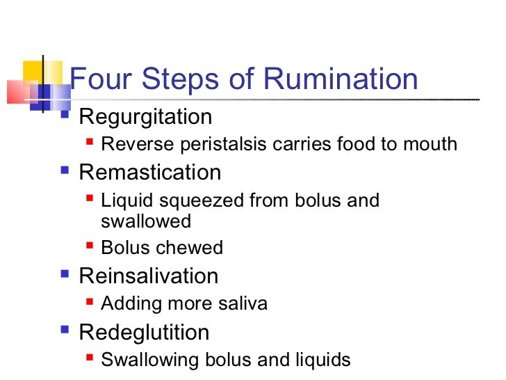4 rumen fermentation