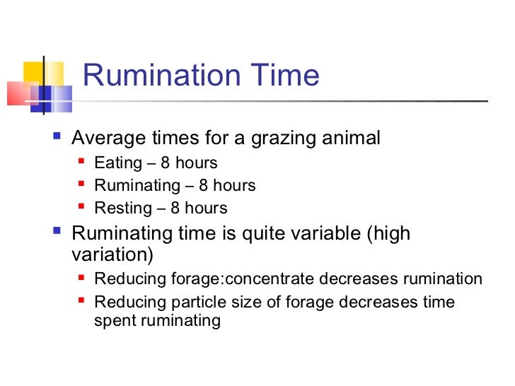4 rumen fermentation