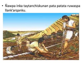 • Ñawpa inka taytanchiskunan pata patata ruwaspa
llank’arqanku.
 
