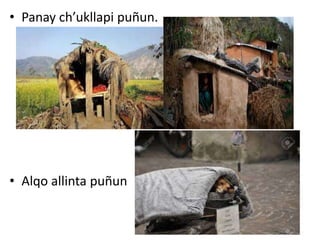 • Panay ch’ukllapi puñun.
• Alqo allinta puñun
 