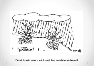 Part of the rain water is lost through deep percolation and run off
 