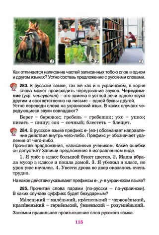 Как отличается написание частей записанных тобою слов в одном
идругом языках? Устно составь предложение с русскими словами.
§ 283. В русском языке, так же как и в украинском, в корне
слова может происходить чередование звуков. Чередова­
ние (укр. чергування) - это замена в устной речи одного звука
другим и соответственно на письме - одной буквы другой.
Устно переведи слова на украинский язык. В каких случаях че­
редующиеся звуки совпадают?
Берег - бережок; гребень - гребешок; ухо - ушко;
писать - пишу; сок - сочный; блестеть - блещет.
t 284. В русском языке префикс в- (во-) обозначает направле­
ние действия внутрь чего-либо. Префикс у- обозначает уда­
ление от чего-либо.
Прочитай предложения, написанные учеником. Какие ошибки
он допустил? Запиши предложения в исправленном виде.
1. Я унёс в класс большой букет цветов. 2. Маша вбра-
ла мусор в классе и пошла домой. 3. Я убежал в класс, но
урок уже начался. 4. Увезти дрова во двор оказалось очень
трудно.
На какое действие указывают префиксы в-, у- вукраинском языке?
285. Прочитай слова парами (по-русски - по-украински).
В каких случаях суффикс будет безударным?
Маленький - маленький, красненький - червонёнький,
красйвенький - гарнёнький, умненький - розумнёнький.
Запомни правильное произношение слов русского языка.
115
 