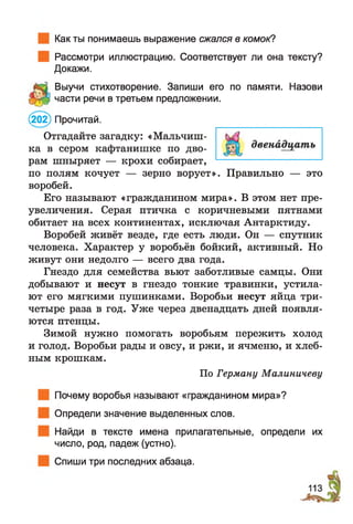 Как ты понимаешь выражение сжался в комок?
Рассмотри иллюстрацию. Соответствует ли она тексту?
Докажи.
Выучи стихотворение. Запиши его по памяти. Назови
части речи в третьем предложении.
(202) Прочитай.
Отгадайте загадку: «Мальчиш­
ка в сером кафтанишке по дво­
рам шныряет — крохи собирает,
по полям кочует — зерно ворует». Правильно — это
воробей.
Его называют «гражданином мира». В этом нет пре­
увеличения. Серая птичка с коричневыми пятнами
обитает на всех континентах, исключая Антарктиду.
Воробей живёт везде, где есть люди. Он — спутник
человека. Характер у воробьёв бойкий, активный. Но
живут они недолго — всего два года.
Гнездо для семейства вьют заботливые самцы. Они
добывают и несут в гнездо тонкие травинки, устила­
ют его мягкими пушинками. Воробьи несут яйца три-
четыре раза в год. Уже через двенадцать дней появля­
ются птенцы.
Зимой нужно помогать воробьям пережить холод
и голод. Воробьи рады и овсу, и ржи, и ячменю, и хлеб­
ным крошкам.
По Герману Малиничеву
Почему воробья называют «гражданином мира»?
Определи значение выделенных слов.
Найди в тексте имена прилагательные, определи их
число, род, падеж (устно).
Спиши три последних абзаца.
 