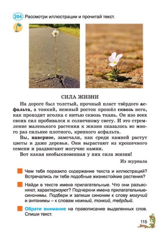 Ґ
СИЛА ЖИЗНИ
На дороге был толстый, прочный пласт твёрдого ас­
фальта, а тонкий, нежный росток прошёл сквозь него,
как проходит иголка с нитью сквозь ткань. Он изо всех
своих сил пробивался к солнечному свету. И это стрем­
ление маленького растения к жизни оказалось во мно­
го раз сильнее плотного, крепкого асфальта.
Вы, наверное, замечали, как среди камней растут
цветы и даже деревья. Они вырастают из крошечного
семени и раздвигают могучие камни.
Вот какая необыкновенная у них сила жизни!
Из журнала
Чем тебя поразило содержание текста и иллюстраций?
Встречались ли тебе подобные жизнестойкие растения?
Найди в тексте имена прилагательные. Что они разъяс­
няют, характеризуют? Подчеркни имена прилагательные-
синонимы. Подбери и запиши синоним к слову могучий
и антонимы - к словам нежный, тонкий, твёрдый.
| Обрати внимание на правописание выделенных слов.
Спиши текст.
Рассмотри иллюстрации и прочитай текст.
 