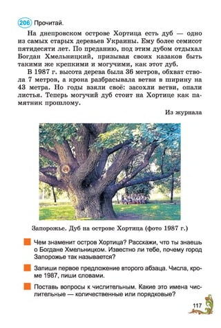 На днепровском острове Хортица есть дуб — одно
из самых старых деревьев Украины. Ему более семисот
пятидесяти лет. По преданию, под этим дубом отдыхал
Богдан Хмельницкий, призывая своих казаков быть
такими же крепкими и могучими, как этот дуб.
В 1987 г. высота дерева была 36 метров, обхват ство­
ла 7 метров, а крона разбрасывала ветви в ширину на
43 метра. Но годы взяли своё: засохли ветви, опали
листья. Теперь могучий дуб стоит на Хортице как па­
мятник прошлому.
Из журнала
(206) Прочитай.
Запорожье. Дуб на острове Хортица (фото 1987 г.)
Чем знаменит остров Хортица? Расскажи, что ты знаешь
о Богдане Хмельницком. Известно ли тебе, почему город
Запорожье так называется?
Запиши первое предложение второго абзаца. Числа, кро­
ме 1987, пиши словами.
Поставь вопросы к числительным. Какие это имена чис­
лительные — количественные или порядковые?
 