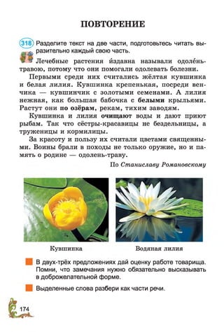 ПОВТОРЕНИЕ
(318) Разделите текст на две части, подготовьтесь читать вы-
яЛ* разительно каждый свою часть.
т» * Лечебные растения йздавна называли одолёнь-
травою, потому что они помогали одолевать болезни.
Первыми среди них считались жёлтая кувш инка
и белая лилия. Кувш инка крепенькая, посреди вен­
чика — кувш инчик с золотыми семенами. А лилия
нежная, как большая бабочка с белыми крыльями.
Растут они по озёрам, рекам, тихим заводям.
Кувшинка и лилия очищают воды и дают приют
рыбам. Так что сёстры-красавицы не бездельницы, а
труженицы и кормилицы.
За красоту и пользу их считали цветами священны­
ми. Воины брали в походы не только оружие, но и па­
мять о родине — одолень-траву.
По Станиславу Романовскому
Кувшинка Водяная лилия
В двух-трёх предложениях дай оценку работе товарища.
Помни, что замечания нужно обязательно высказывать
в доброжелательной форме.
Выделенные слова разбери как части речи.
 