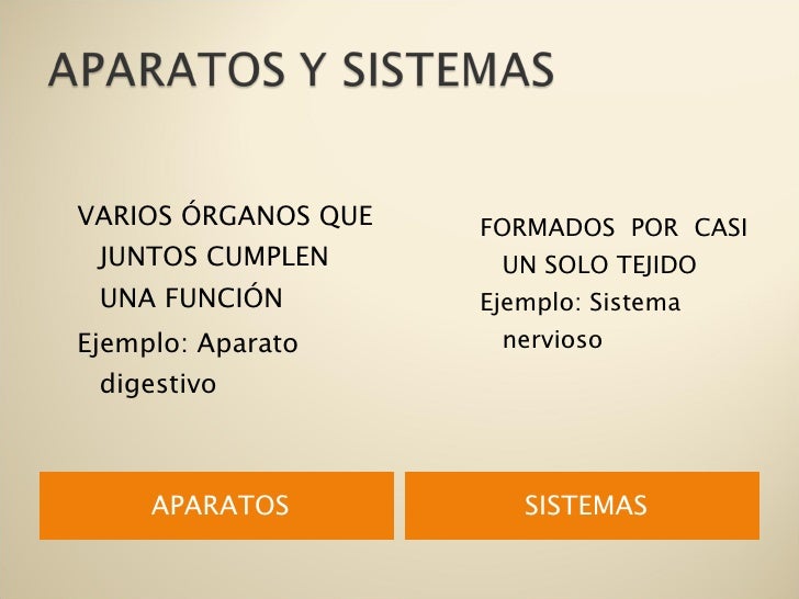 Organos, aparatos y sistemas