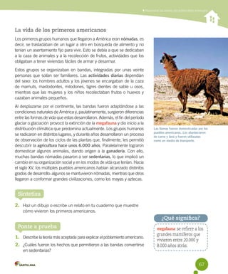 Reconocer las teorías del poblamiento americano
La vida de los primeros americanos
Los primeros grupos humanos que llegaron a América eran nómadas, es
decir, se trasladaban de un lugar a otro en búsqueda de alimento y no
tenían un asentamiento fijo para vivir. Esto se debía a que se dedicaban
a la caza de animales y a la recolección de frutos, actividades que los
obligaban a tener viviendas fáciles de armar y desarmar. 	
Estos grupos se organizaban en bandas, integradas por unas veinte
personas que solían ser familiares. Las actividades diarias dependían
del sexo: los hombres adultos y los jóvenes se encargaban de la caza
de mamuts, mastodontes, milodones, tigres dientes de sable u osos,
mientras que las mujeres y los niños recolectaban frutos o huevos y
cazaban animales pequeños.
Al desplazarse por el continente, las bandas fueron adaptándose a las
condiciones naturales de América y, paulatinamente, surgieron diferencias
entre las formas de vida que estas desarrollaron. Además, el fin del período
glaciar o glaciación provocó la extinción de la megafauna y dio inicio a la
distribución climática que predomina actualmente. Los grupos humanos
se radicaron en distintos lugares, y durante años desarrollaron un proceso
de observación de los ciclos de las plantas que, finalmente, les permitió
descubrir la agricultura hace unos 6.000 años. Paralelamente lograron
domesticar algunos animales, dando origen a la ganadería. Con ello,
muchas bandas nómadas pasaron a ser sedentarias, lo que implicó un
cambio en su organización social y en los modos de vida que tenían. Hacia
el siglo XV, los múltiples pueblos americanos habían alcanzado distintos
grados de desarrollo: algunos se mantuvieron nómadas, mientras que otros
llegaron a conformar grandes civilizaciones, como los mayas y aztecas.
Ponte a prueba
1.	 Describe la teoría más aceptada para explicar el poblamiento americano.
2.	 ¿Cuáles fueron los hechos que permitieron a las bandas convertirse
en sedentarias?
¿Qué significa?
megafauna: se refiere a los
grandes mamíferos que
vivieron entre 20.000 y
8.000 años atrás.
Las llamas fueron domesticadas por los
pueblos americanos. Los abastecieron
de carne y lana y fueron utilizadas
como un medio de transporte.
Sintetiza
2.	 Haz un dibujo o escribe un relato en tu cuaderno que muestre
cómo vivieron los primeros americanos.
67
 