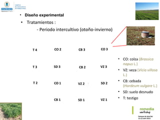 • Tratamientos :
- Periodo intercultivo (otoño-invierno)
Rape3Barley3Rape2
BF+N3 Barley2
Barley1
Rape1
BF+N1
BF+N2
Vetch3
Vetch2
Vetch1
BF-N4
BF-N3
BF-N2
BF-N1
VZ 3
VZ 1
CO 3
SD 2
CB 2
SD 1
CB 3
VZ 2
SD 3
CB 1
CO 2
CO 1
T 3
T 4
T 2
• CO: colza (Brassica
napus L.)
• VZ: veza (Vicia villosa
L.)
• CB: cebada
(Hordeum vulgare L.)
• SD: suelo desnudo
• T: testigo
• Diseño experimental
 