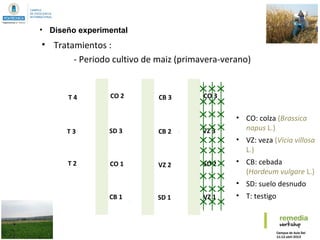 • Tratamientos :
- Periodo cultivo de maiz (primavera-verano)
Rape3Barley3Rape2
BF+N3 Barley2
Barley1
Rape1
BF+N1
BF+N2
Vetch3
Vetch2
Vetch1
BF-N4
BF-N3
BF-N2
BF-N1
VZ 3
VZ 1
CO 3
SD 2
CB 2
SD 1
CB 3
VZ 2
SD 3
CB 1
CO 2
CO 1
T 3
T 4
T 2
• Diseño experimental
• CO: colza (Brassica
napus L.)
• VZ: veza (Vicia villosa
L.)
• CB: cebada
(Hordeum vulgare L.)
• SD: suelo desnudo
• T: testigo
 