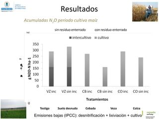 Resultados
Acumuladas N2O periodo cultivo maíz
0
5
10
15
20
25
30
35
Testigo Suelo desnudo Cebada Veza Colza
mgN-N2O/m2
sin residuo enterrado con residuo enterrado
b b
ab ab
ab
ab
a
a
b
b
Emisiones bajas (IPCC): desnitrificación + lixiviación + cultivo
 
