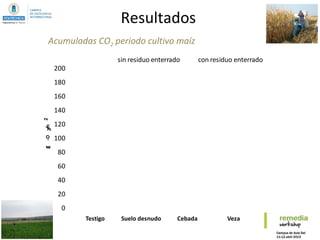 Resultados
0
20
40
60
80
100
120
140
160
180
200
Testigo Suelo desnudo Cebada Veza Colza
gC-CO2/m2
sin residuo enterrado con residuo enterrado
Acumuladas CO2 periodo cultivo maíz
 