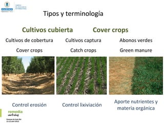 Cultivos de cobertura
Cover crops
Tipos y terminología
Cultivos cubierta Cover crops
Aporte nutrientes y
materia orgánica
Control erosión Control lixiviación
Cultivos captura
Catch crops
Abonos verdes
Green manure
 