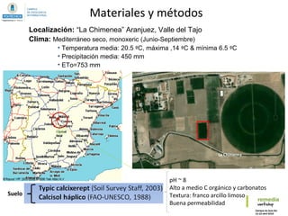 Localización: “La Chimenea” Aranjuez, Valle del Tajo
Clima: Mediterráneo seco, monoxeric (Junio-Septiembre)
• Temperatura media: 20.5 ºC, máxima ,14 ºC & mínima 6.5 ºC
• Precipitación media: 450 mm
• ETo=753 mm
Materiales y métodos
La Chimenea
Suelo
pH ~ 8
Alto a medio C orgánico y carbonatos
Textura: franco arcillo limoso
Buena permeabilidad
 