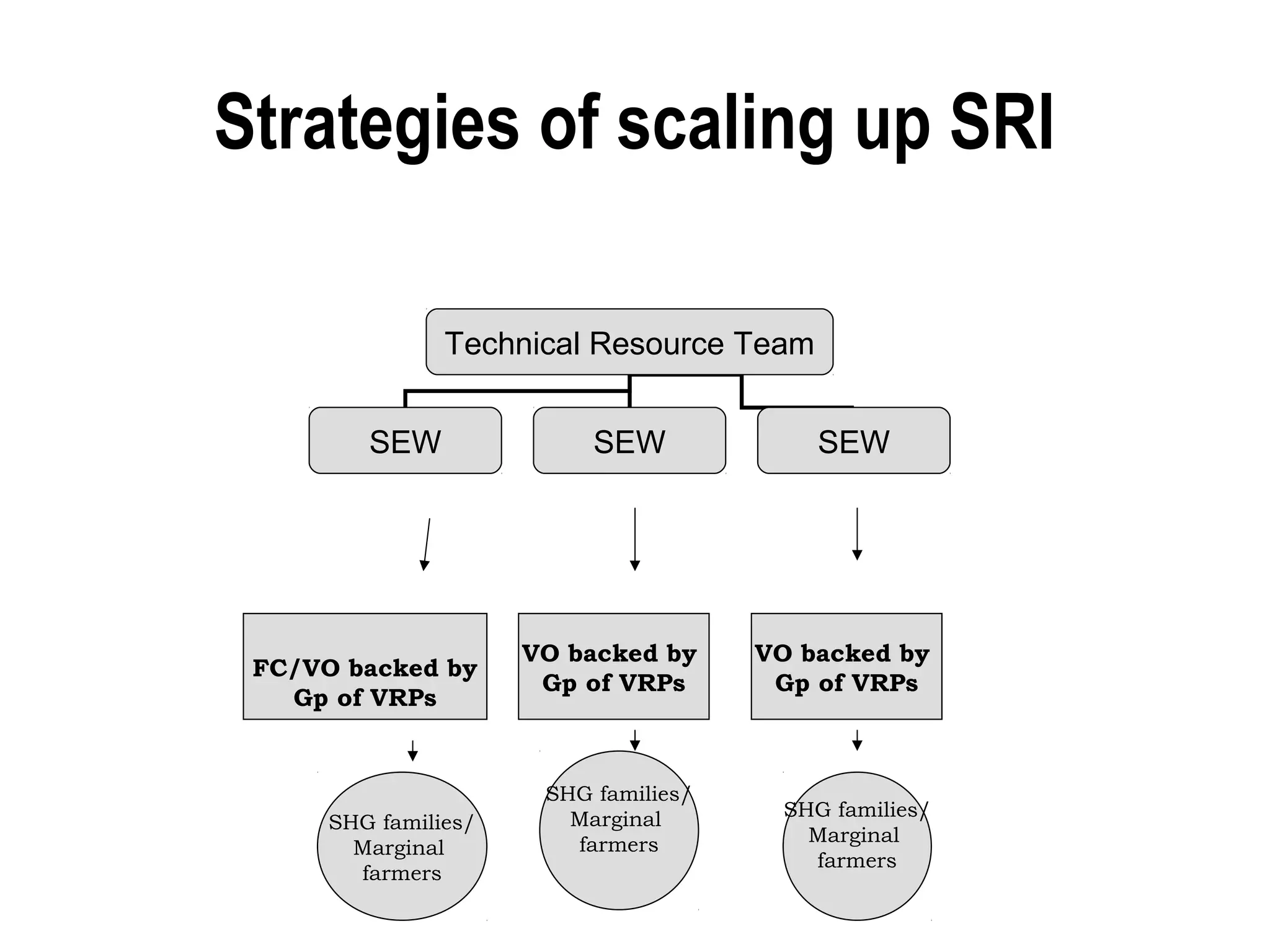 Strategies of scaling up SRI

                Technical Resource Team


         SEW               SEW             SEW




                      VO backed by     VO backed by
 FC/VO backed by
                       Gp of VRPs       Gp of VRPs
   Gp of VRPs


                       SHG families/
                         Marginal       SHG families/
      SHG families/
                         farmers          Marginal
        Marginal
                                          farmers
        farmers
 
