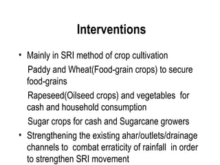 Interventions
• Mainly in SRI method of crop cultivation
  Paddy and Wheat(Food-grain crops) to secure
  food-grains
  Rapeseed(Oilseed crops) and vegetables for
  cash and household consumption
  Sugar crops for cash and Sugarcane growers
• Strengthening the existing ahar/outlets/drainage
  channels to combat erraticity of rainfall in order
  to strengthen SRI movement
 
