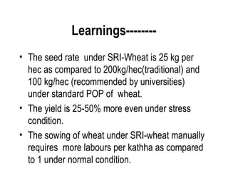 Learnings--------
• The seed rate under SRI-Wheat is 25 kg per
  hec as compared to 200kg/hec(traditional) and
  100 kg/hec (recommended by universities)
  under standard POP of wheat.
• The yield is 25-50% more even under stress
  condition.
• The sowing of wheat under SRI-wheat manually
  requires more labours per kathha as compared
  to 1 under normal condition.
 