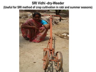 SRI Vidhi -dry-Weeder
(Useful for SRI method of crop cultivation in rabi and summer seasons)
 