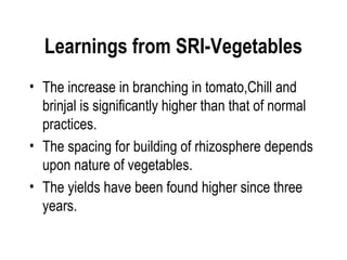 Learnings from SRI-Vegetables
• The increase in branching in tomato,Chill and
  brinjal is significantly higher than that of normal
  practices.
• The spacing for building of rhizosphere depends
  upon nature of vegetables.
• The yields have been found higher since three
  years.
 