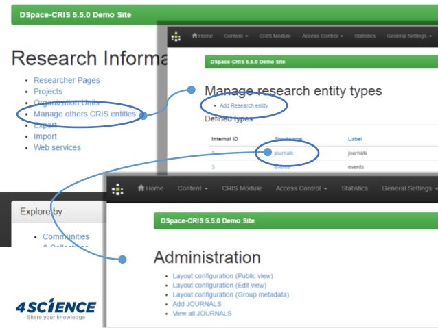 DSpace standard Data model and DSpace-CRIS