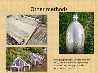 Other methodsBurlap (upper left), cloches (bottom left), and 2-liter bottle (right-side)Can also use; milk jugs, cookie jar, pots and pans, etc.