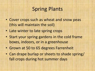 Spring PlantsCover crops such as wheat and snow peas (this will maintain the soil)Late winter to late spring cropsStart your spring gardens in the cold frame boxes, indoors, or in a greenhouseGrown at 50 to 65 degrees FarrenheitCan drape burlap or sheets to shade spring/ fall crops during hot summer days