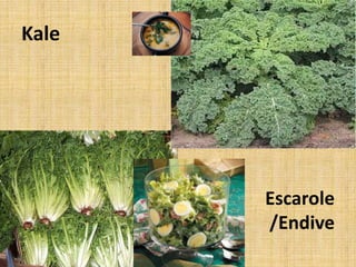 KaleEscarole/Endive