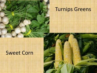 	Turnips GreensSweet Corn