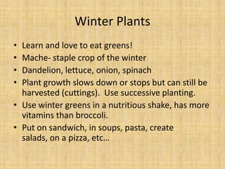 Winter PlantsLearn and love to eat greens!Mache- staple crop of the winterDandelion, lettuce, onion, spinachPlant growth slows down or stops but can still be harvested (cuttings).  Use successive planting.Use winter greens in a nutritious shake, has more vitamins than broccoli.Put on sandwich, in soups, pasta, create salads, on a pizza, etc…
