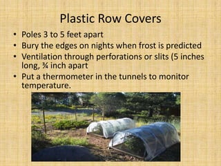 Plastic Row CoversPoles 3 to 5 feet apartBury the edges on nights when frost is predictedVentilation through perforations or slits (5 inches long, ¾ inch apartPut a thermometer in the tunnels to monitor temperature.
