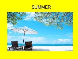 A lot of rain, flowers start to bloom.