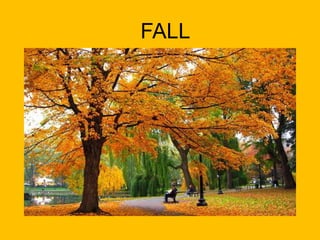 Spring is when baby animals are born.