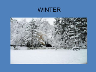 Trees start to get their leaves back.