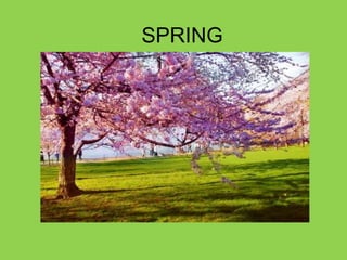 Weather gets warmer.