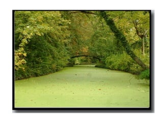 4 Seasons moral story | PPT