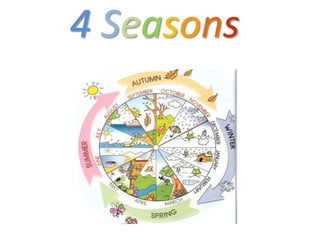 4 Seasons
 